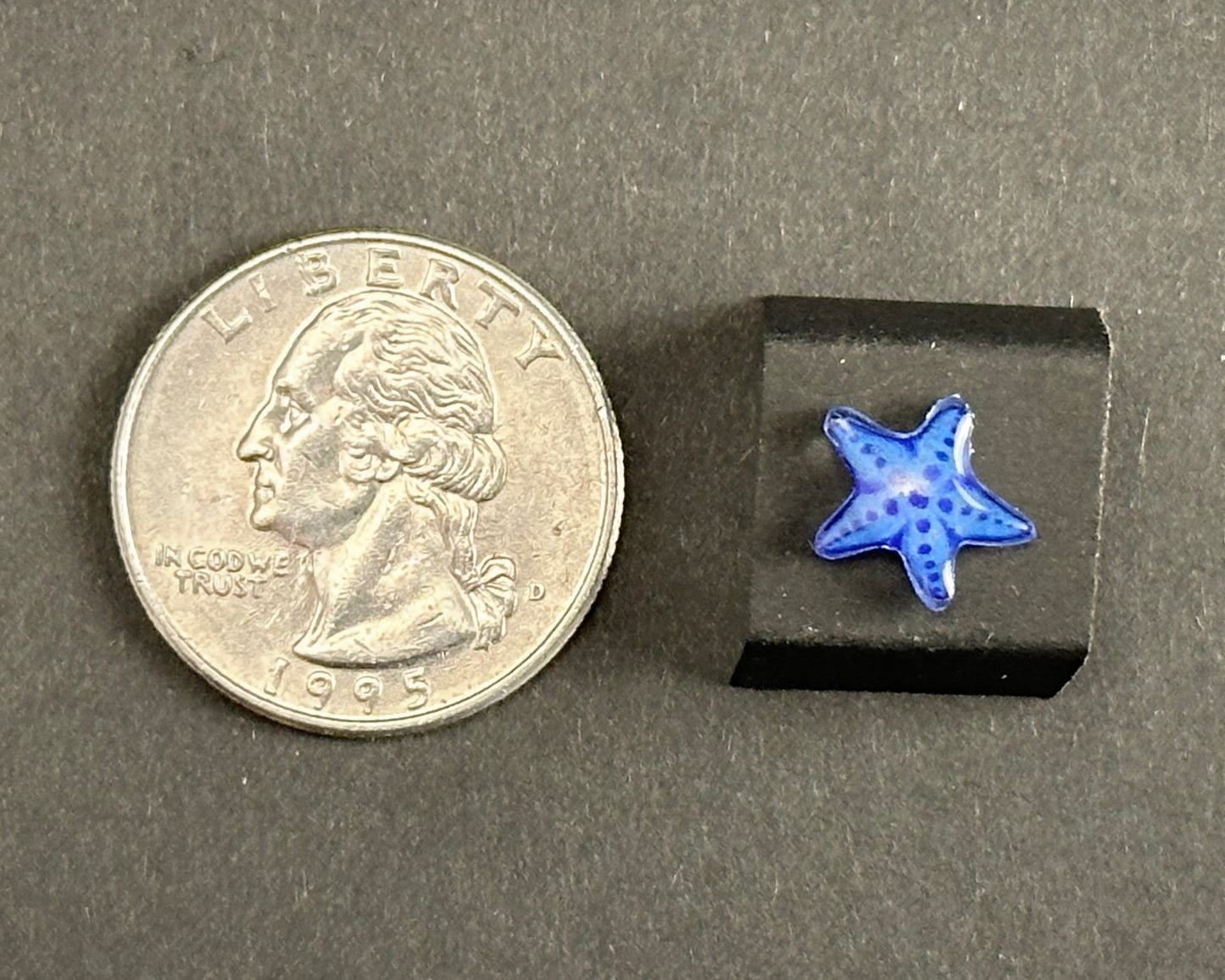 Alexa Slater - Purple/blue starfish stud earrings