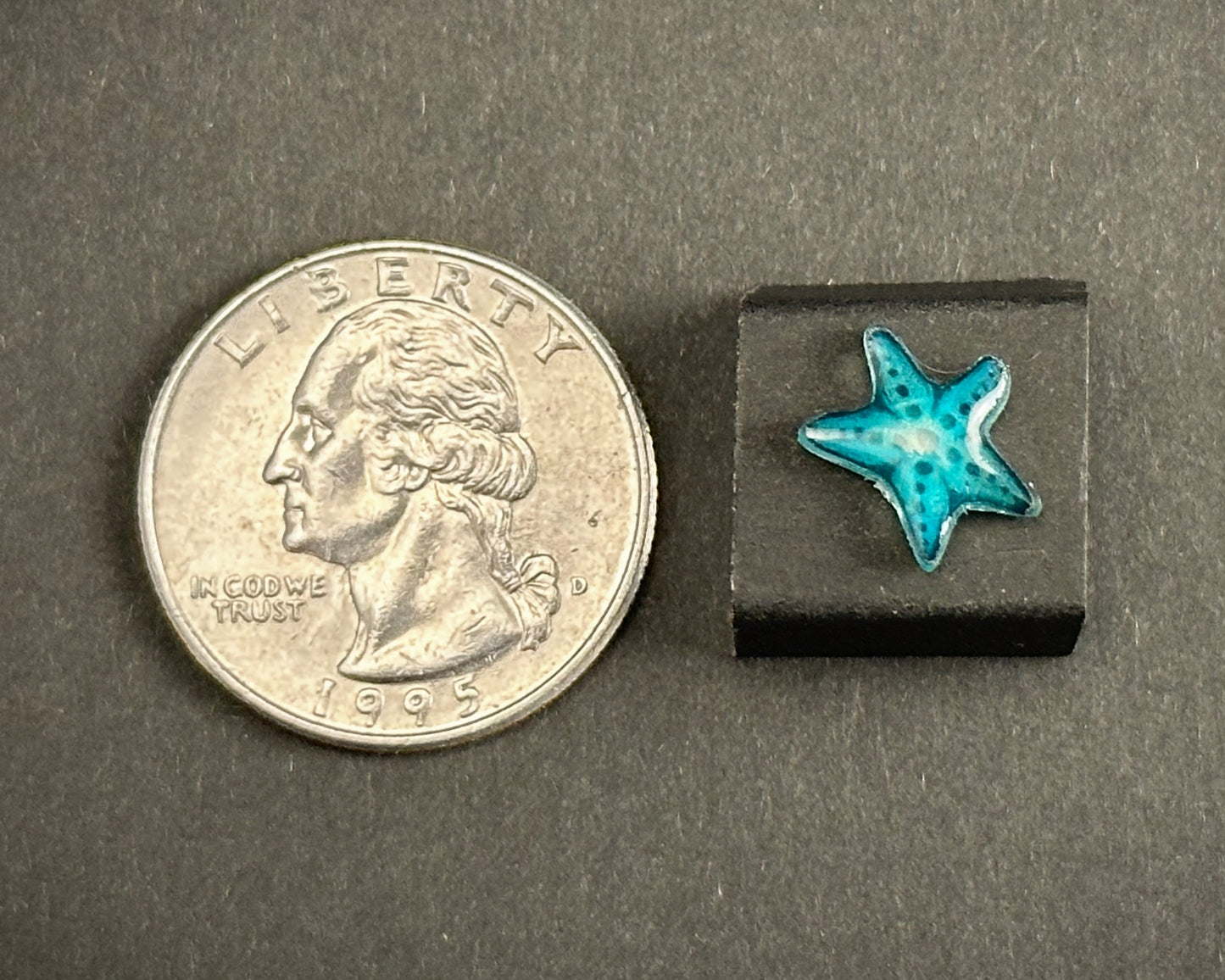 Alexa Slater - Teal starfish stud earrings
