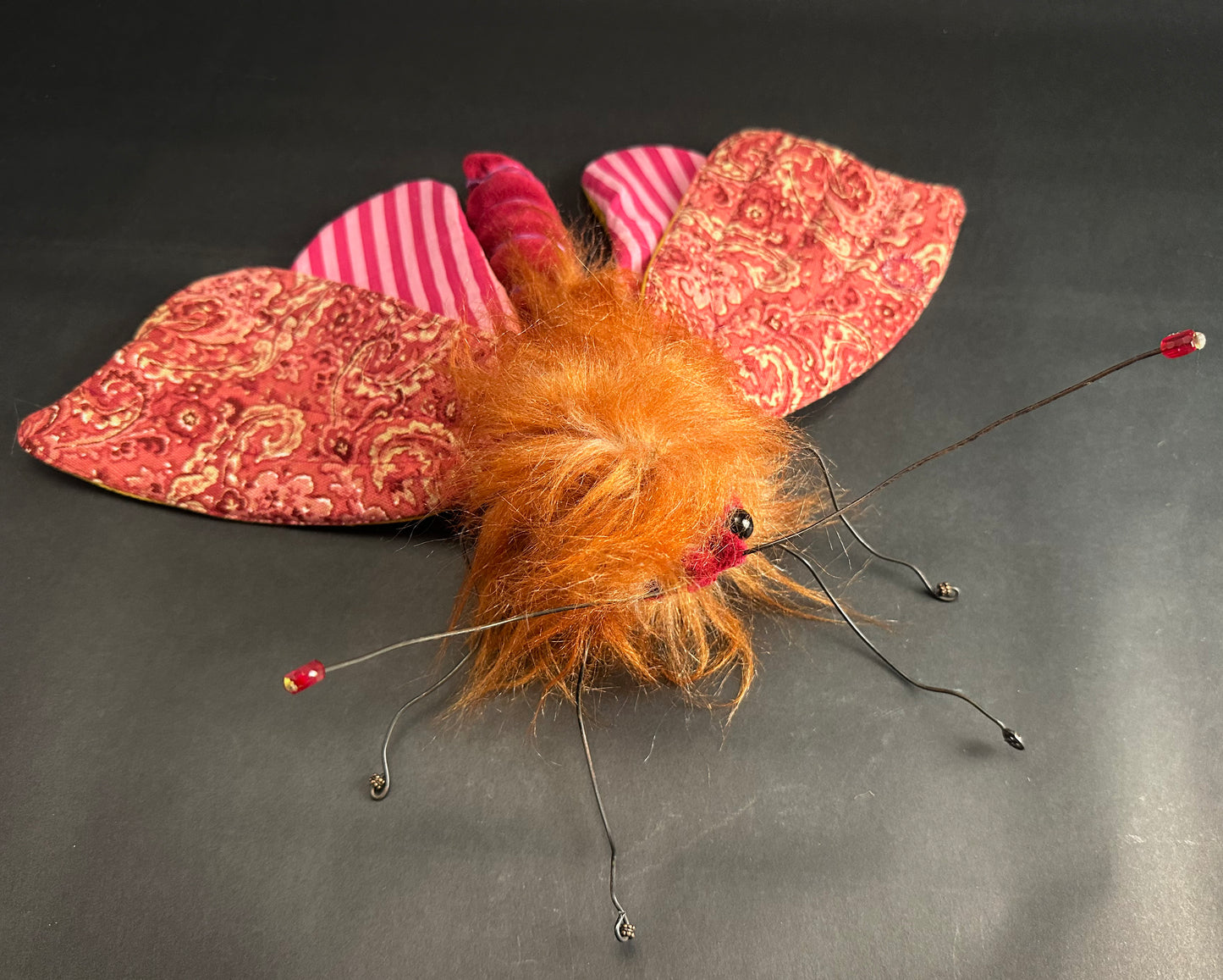 Ronita Yvarra - The Copper Prince Moth