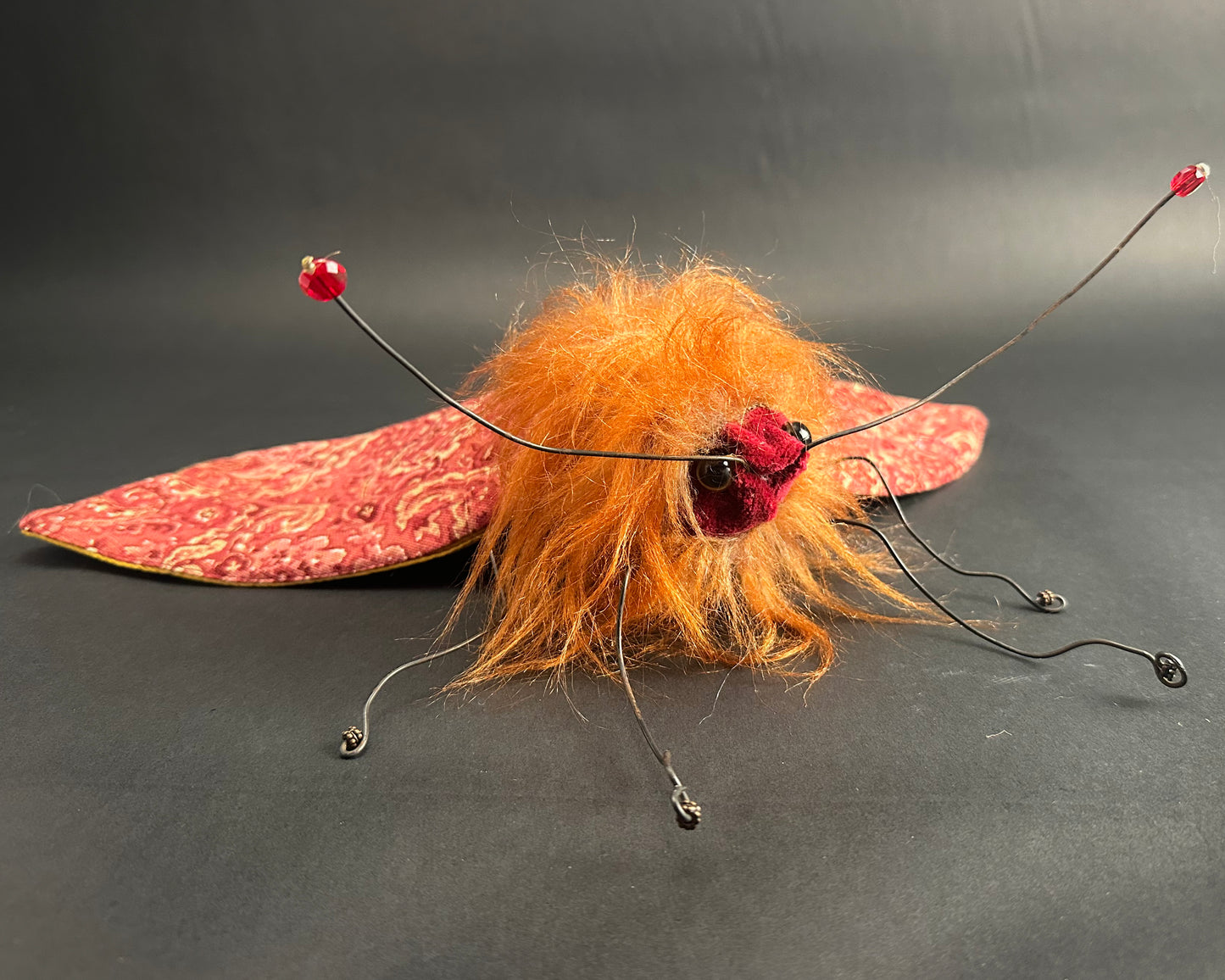 Ronita Yvarra - The Copper Prince Moth