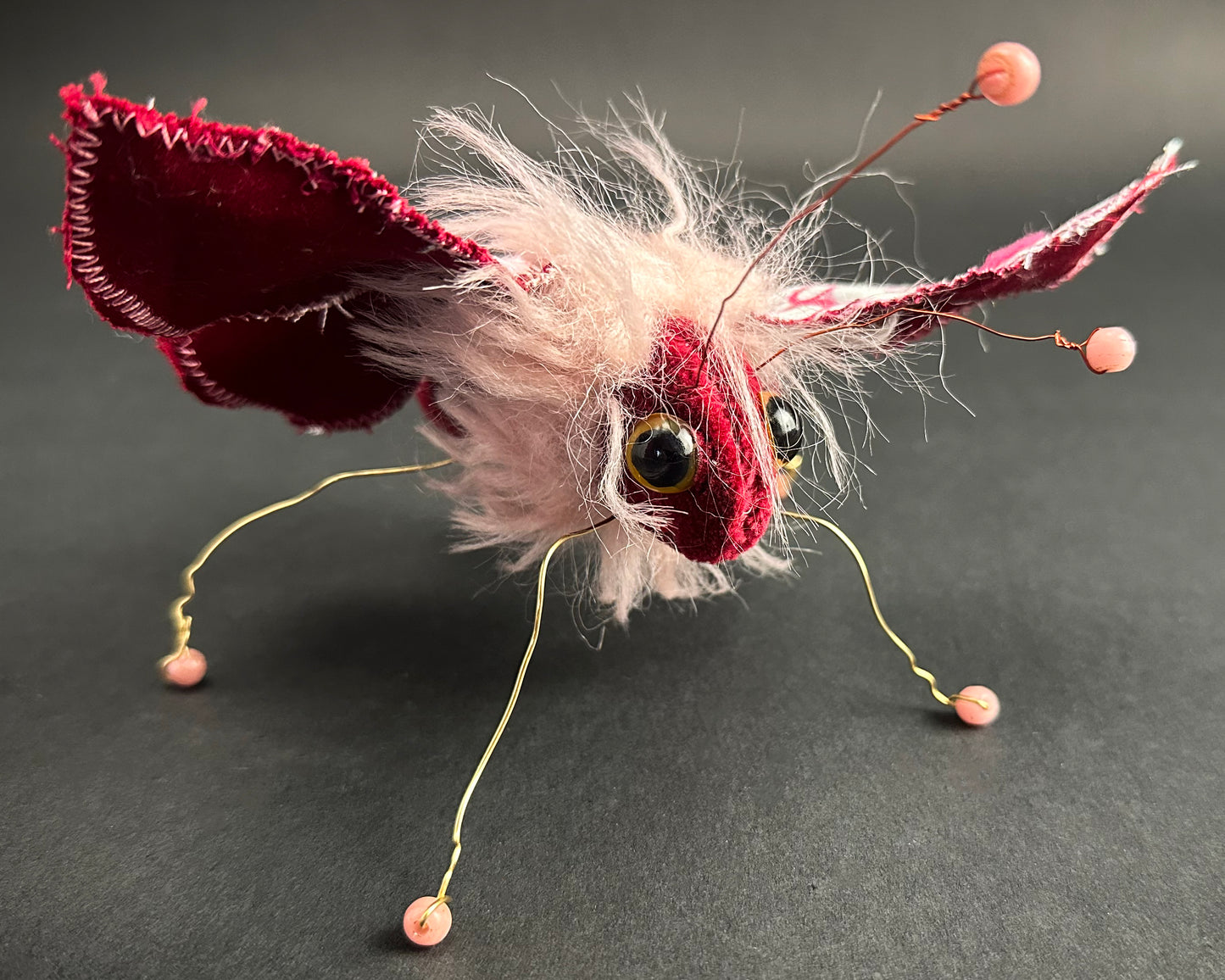 Ronita Yvarra - The Rosebud Rascal Moth