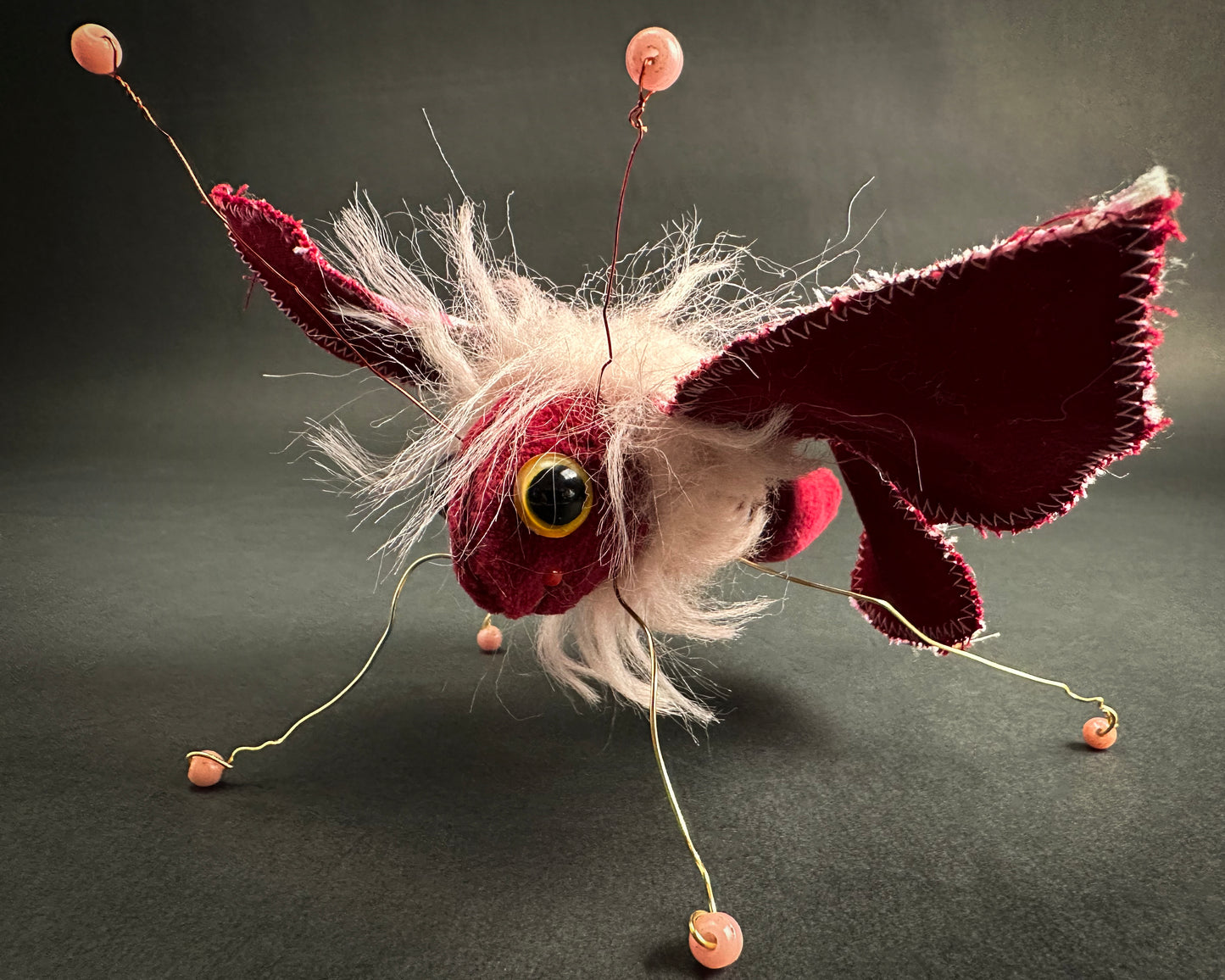 Ronita Yvarra - The Rosebud Rascal Moth