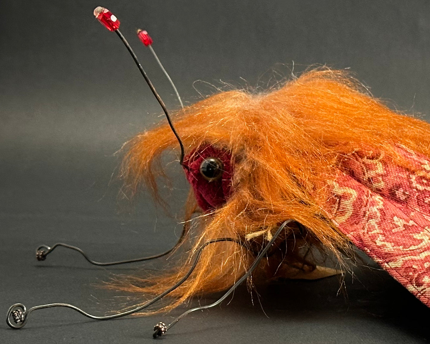 Ronita Yvarra - The Copper Prince Moth
