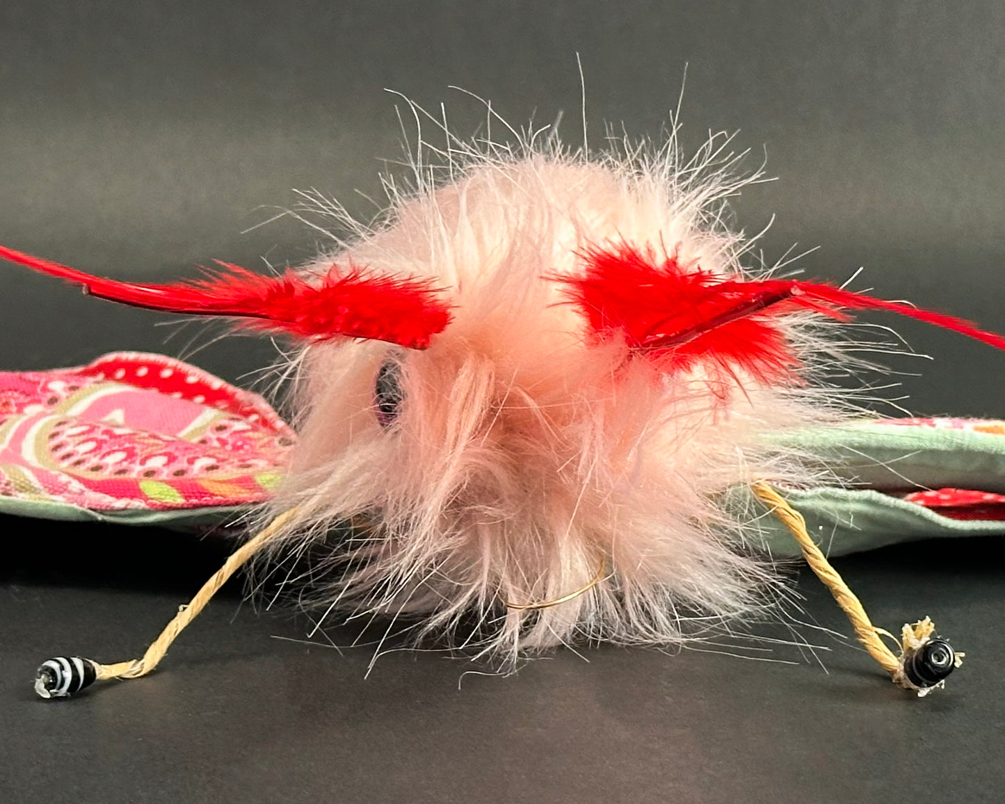 Ronita Yvarra - The Candyfloss Moth