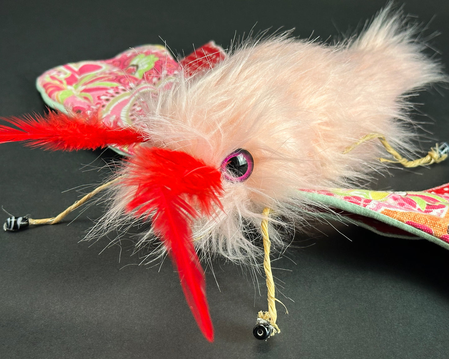 Ronita Yvarra - The Candyfloss Moth
